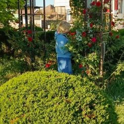 Аватар участника